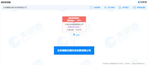 滴滴關聯公司申請 新桔 新桔代駕 商標